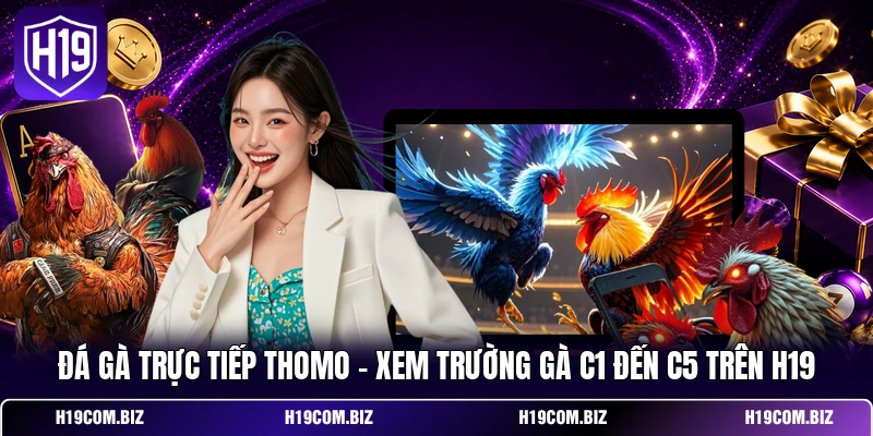 Đá Gà Trực Tiếp Thomo – Xem Trường Gà C1 Đến C5 Trên H19 1 Đá Gà Trực Tiếp Thomo