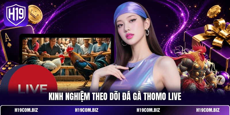 Đá Gà Trực Tiếp Thomo – Xem Trường Gà C1 Đến C5 Trên H19 3 Kinh nghiệm theo dõi đá gà Thomo live